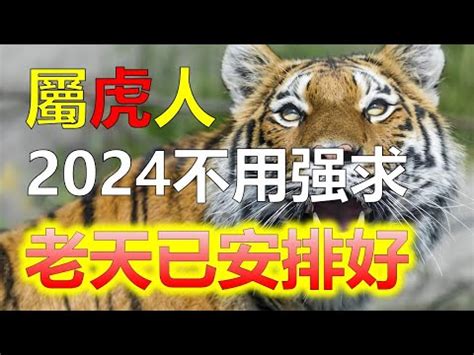 屬虎2023年運程